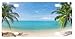 Produktbild Tropical Paradise Ocean Beach Scene with Palm Trees Front Metal Aluminum License Plate Vanity car Tag Home Door Sign 6" x 12" with 4