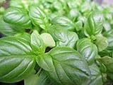 Este tipo de cultivo es muy fÃ¡cil