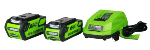 Greenworks Tools 29717 40V Lithium-Ionen Akku 2Ah - 3