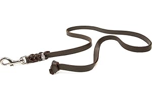 CopcoPet Fettlederleine Hund – geflochtene Lederleine ohne Handschlaufe, Führleine & Trainingsleine aus robustem Rindsleder mit Chrom-Karabiner, 1,35m x 12 mm, Braun, für kleine & große Hunde