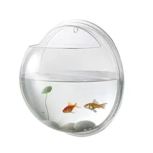 POPETPOP Fish Bowl - Wall Mounted Acrylic Transparent Mini Aquariums Betta Cups -Hanging Round Glass Bowl Vase Fish Tank Home Decor