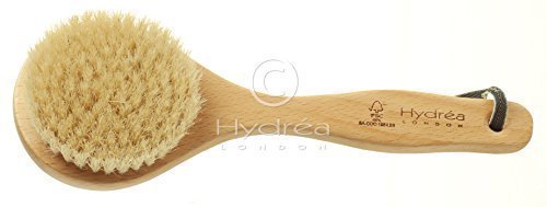 Hydrea Classic Short Handled Body Brush Natural Bristle Medium Strength Wet Or Dry Brushing