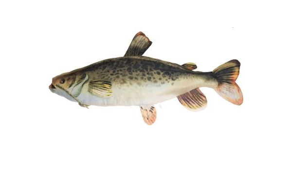 catfish body pillow