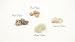 Produktbild Weihrauch Probierset Oman - Boswellia Sacra - 4 Sorten a 7 Gramm (Royal Hojari, Superior Hojari, Red Hojari, Black Hojari)