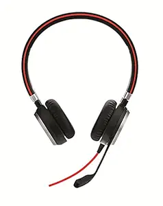 Jabra Evolve 40 MS Wireless Bluetooth On Ear Headphone with Mic (Black)