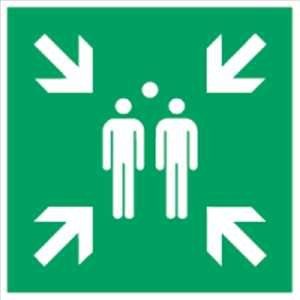Schild Sammelstelle Alu 40x40cm gemäß ISO 7010, E007