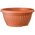 Prosper Plast Corinthian Low Planter/Flower Pot (40cm, Terracotta)