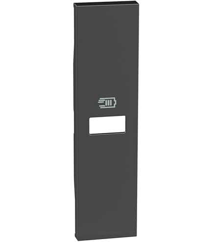 Bticino L4192C USB-oplader met een ingang type C, voor inbouw in de Livinglight-plaat voor het snel opladen van elektronische apparaten tot 20 W, 1 module, antraciet