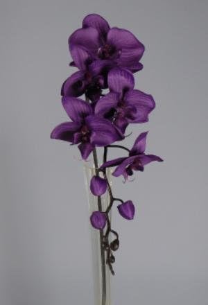 Artificial Silk Moth Orchid Single Stem - 92cm, Purple