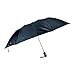 Fendo 2 fold auto open deluxe umbrella for men RS.260.00