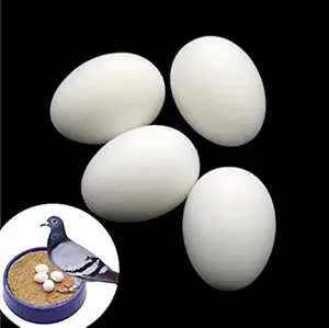 Fake Pigeon Eggs for Hatch Incubation Breeding Solid Small (15 Eggs)