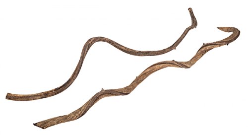 NaDeco® Cipo Fina Lianen 5 Stück ca. 60cm | Luftwurzel | gedrehte Liane | Dekoholz | Holzdeko - 2