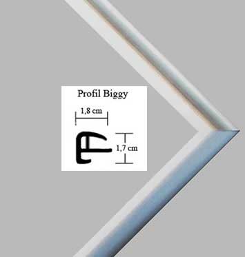 Biggy Kunststoff Bilderrahmen 36×100 cm 100×36 cm Farbwahl: hier Silber mit Acrylglas - 3