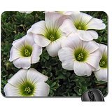 White Oxalis Mouse Pad, Mousepad (Flowers Mouse Pad)