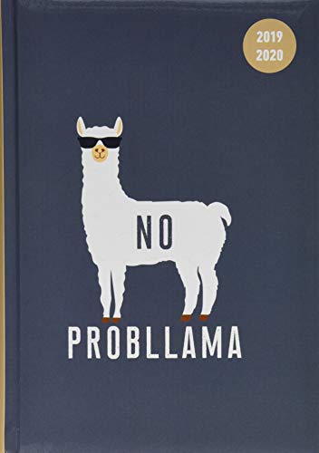 Collegetimer Llama 2019/2020 - Lama - Schülerkalender A5 (15 x 21) - Day By Day - 352 Seiten - Terminplaner - Notizbuch