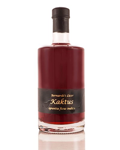 Preisvergleich Produktbild Bernardos Kaktuslikör
