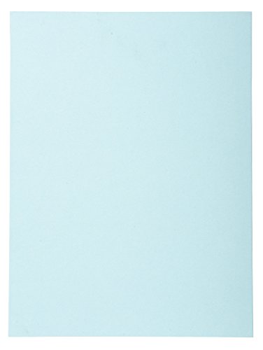 Exacompta 420006E - Lote de 100 Subcarpetas Forever 180 Color Azul Claro reviews Exacompta 420006E - Lote de 100 Subcarpetas Forever 180 Color Azul Claro