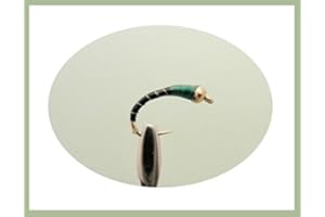 TROUTFLIES UK WET FLIES 12 pack of Gold head Buzzer - Okey Dokey - Black and Green Fishing Flies. Mixed sizes 10/12