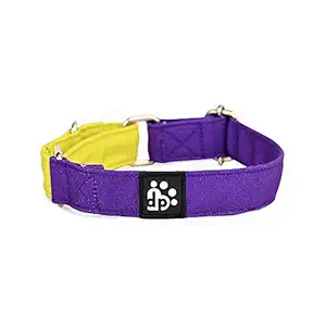 Dear Pet Double Trouble Martingale Purple & Lime Collar for Small, Medium and Large Dogs(Suitable for All Breeds) (Large)