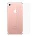 Produktbild Apple iPhone 7 Panzerglas iPhone 8 Schutz-Glas Rückseite Transparent Tempered Glass 9h Glasscheibe hinten