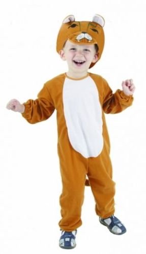 kids lion fancy dress