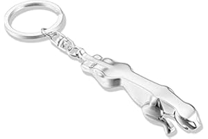 SFEG Car Logo Keychain for Car 3D Chrome Metal Alloy Key Chain Gifts for Women and Men Keyring