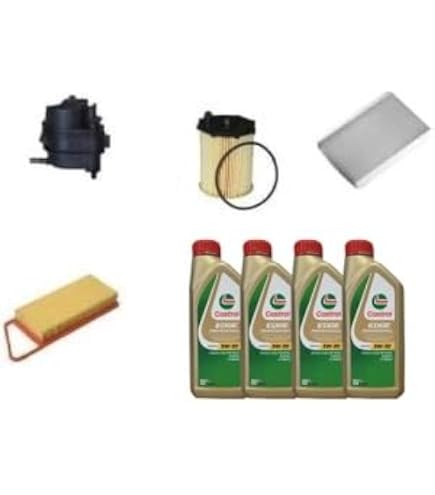 Kit tagliando Citroen C1 Peugeot 107 Toyota Aygo 1.0 50 Kw 3 Filtri+ 3 Olio WOLV - Ricambi F.lli