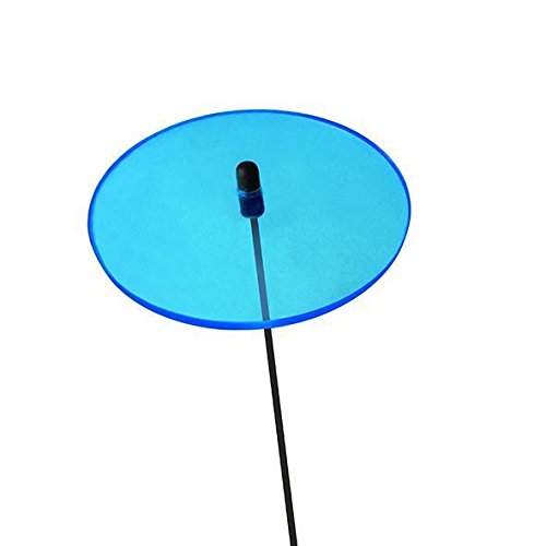 Lichtzauber Scheibe groß, 20 cm, blau