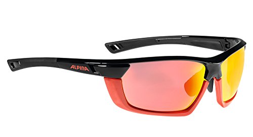Alpina Tri-Scray Multiframe Outdoorsport-Brille