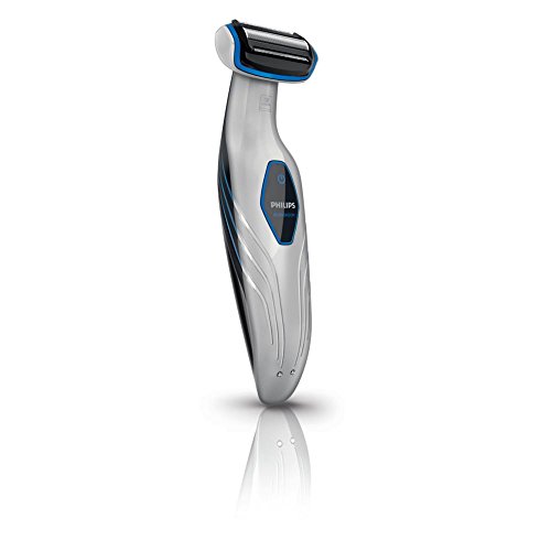 Preisvergleich Produktbild Rasenmäher Herren Philips BG2028 / 32 Bodygroom