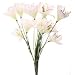 Produktbild Amaryllis Strauß mit Gras, 10 Blüten, 44 cm - Crémefarben (künstlich)