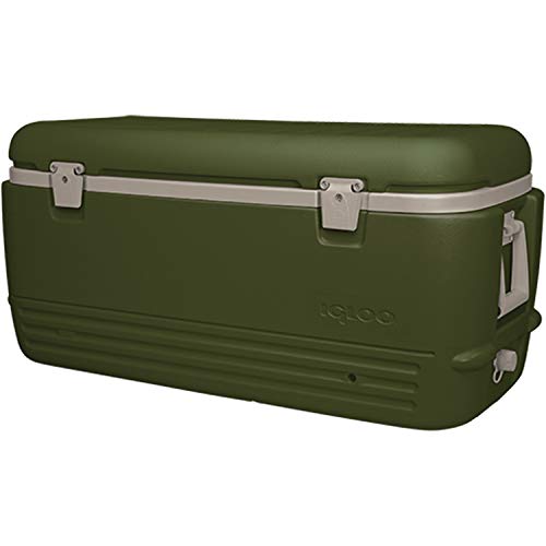 Igloo Coolers Europe Sportsman 100 Adulte Unisexe, Vert, 95 Litre