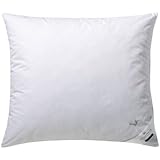 Billerbeck Betten union 5453900008 - Almohada estándar, color blanco