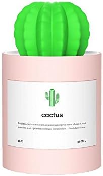 USB Mini Humidifier Cool Mist,Cactus Humidifier 50ml/h for Bedroom Home Office Car Air Diffuser Portable Aroma Diffuser (280ml)
