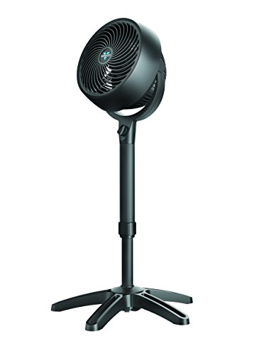 Vornado Raumzirkulator Ventilator Kompakt Modell 683 mit verstellbarem Standfuß