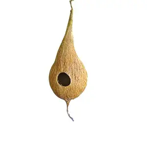 Mats Avenue Bird Nest with Hanging Hole Made of Natural Coir Fiber Coconut Shell, Natural Gum with 5 Meter Jute Twine for Bird Nest as Well as Decorative Product Big Set of 1