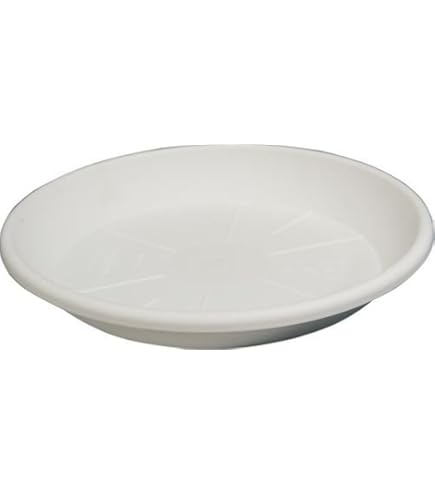 Vaso In Resina Tondo Festonato Ø80cm - Colore Terracotta, Doppio Bordo, Resistente - Foto 9