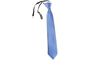 FATASH Kids Pre-Tied Neck Ties With Loop, Elastic Clip-On Skinny Tie, Solid Color Satin Silk Neckties for Toddlers Boys, Suitable for Birthday Party, Wedding