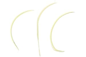 GREGORY CRAFTS & GIFTS Ivory Natural Biot Feathers x 3 - Millinery hat, fascinator, wedding decoration - long feathers
