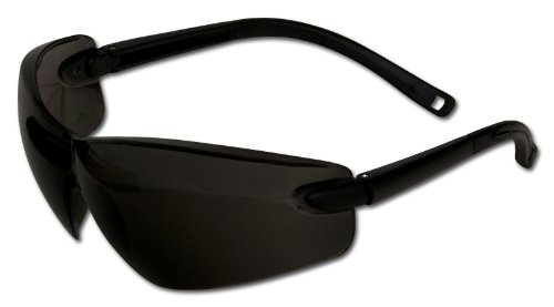 Arnold 6061-X1-0020 Schutzbrille Biker, getönt