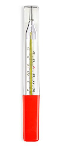 Thermocare Oval Thermometer for fever check mercury body temperature RS.199.00