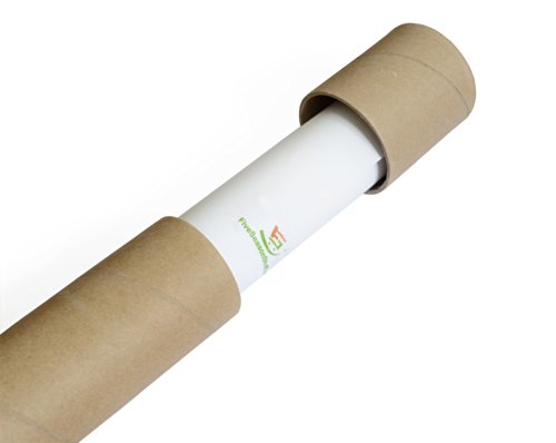 FiveSeasonStuff ® Wandaufkleber / Wandbilder Aufkleber Zebra-und Vogelnest Edition für Home Decor / Raumdekoration / Wandtattoo / Wanddekoration / Wall Art Stickers / Wall Decals / Wall Decoration Zebra Edition WS1 - 6