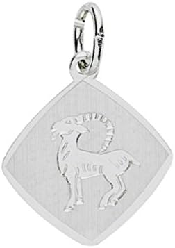 Basic Silver 24.9018sstb Ladies Capricorn Zodiac Sign Pendant Sterling Silver
