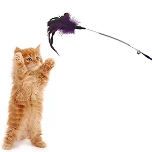 RvPaws Pet Cat Feather Spring Stick Teaser Kitten Interactive Bell Rod Wand Playing Toy -1 Piece (Color May Vary)