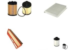 AOQ ORIGINAL QUALITY AOQ - KIT TAGLIANDO COMPATIBILE CON FIAT IDEA 1.3 D MULTIJET (DIESEL) 4 FILTRI MOTORI EURO 4, D4