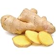 EliteKoopers 100g Organic Fresh Natural Ginger Roots For Whole Spices