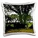 Produktbild ET Photography Nature Scenes - A unique tree that is covered with a vine called Kudzu - 16x16 inch Pillow Case