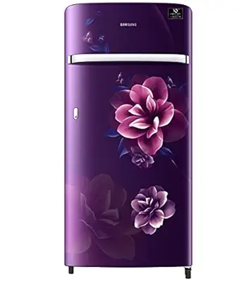 Samsung 198 L 3 Star Inverter Direct cool Single Door Refrigerator(RR21A2G2YCR/HL, Camellia Purple)