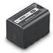 Price comparison product image Panasonic – VW VBD58E K lithium ion battery with charging indicator 6 X1000 Camcorder (5800 mAh)
