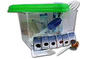 Triops Longicaudatus urtidskräftor, komplett set Advanced III med 50 ägg och grönt lock från Triops King – innehåller stora bassänger, massor av foder, uppfödningsanvisning, sand, äggblandning med